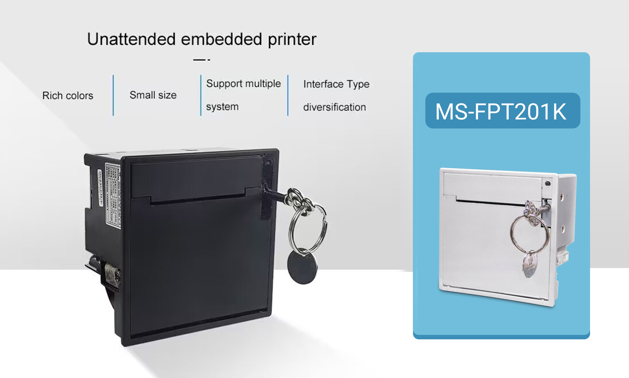 Panel printer MS-FPT201K in France minibus printing receipt case
